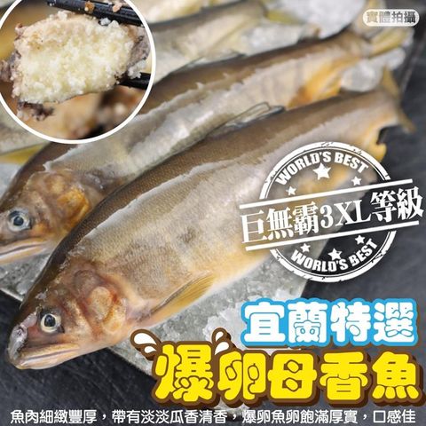 海肉管家 台灣嚴選爆卵母香魚8尾入(1盒/每盒1kg10%)