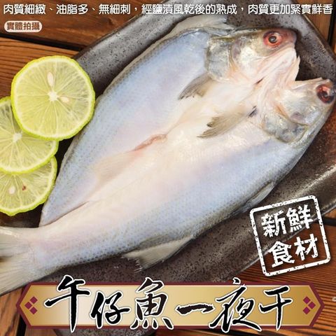 海肉管家 台灣午仔魚一夜干(共4隻_每尾約150-200g)