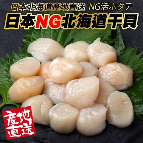 【海肉管家】日本北海道NG干貝(5包_100g/包)