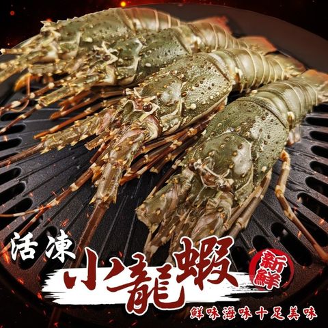 【海肉管家】活凍小龍蝦(2尾組_100-150g/尾)