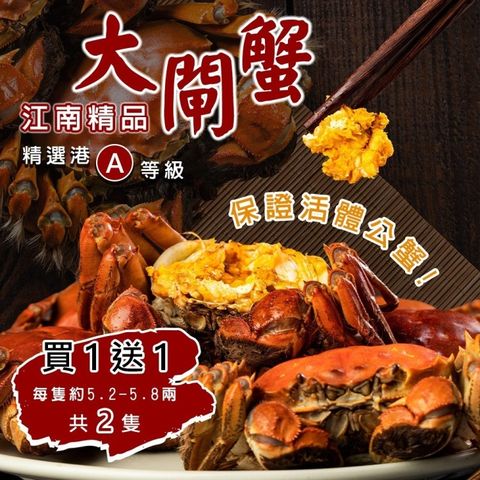 海肉管家 【保證活蟹直送x買1送1】正宗港A等級江南精品大閘蟹(共2隻_5.2-5.8兩/隻)