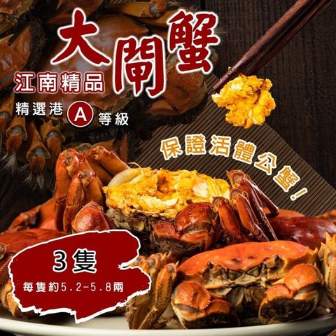 海肉管家 【保證活蟹直送】正宗港A等級江南精品大閘蟹(3隻_5.2-5.8兩/隻)