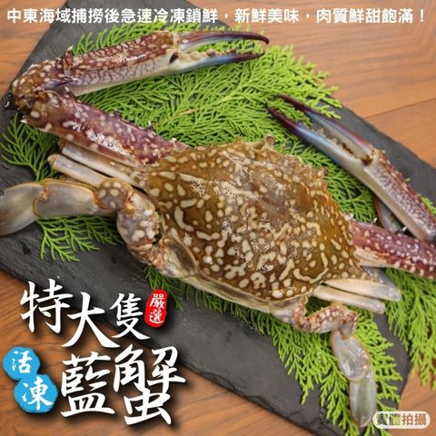 【海肉管家】活凍特大隻藍花蟹(2隻_400-450g/隻)