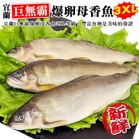 海肉管家 宜蘭巨無霸3XL爆卵母香魚(4盒_3-5尾/920g/盒)