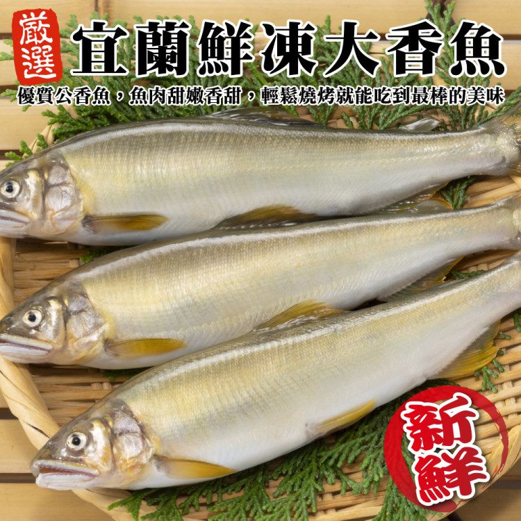 海肉管家 宜蘭鮮凍大香魚(共16尾_8尾/920g/盒)