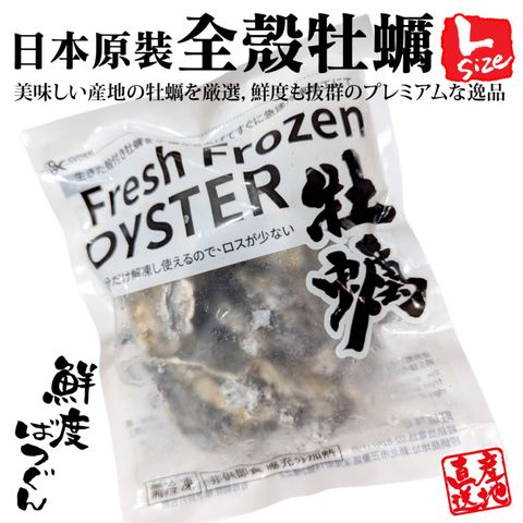 海肉管家 日本原裝全殼牡蠣L尺寸1包組(共7顆_單顆70-85g/約500g)