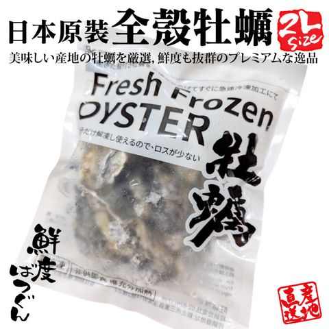 海肉管家 日本原裝全殼牡蠣2L尺寸4包組(共20顆_單顆90-120g/約500g/包)