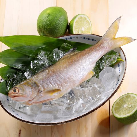 華得水產 新鮮午仔魚8尾(250-280g/尾)