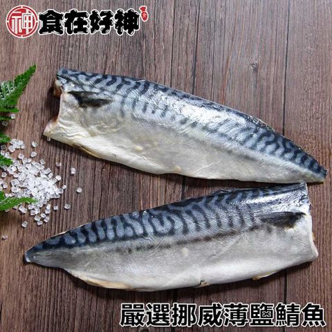 嚴選挪威薄鹽鯖魚 規格S 共10包(毛重135g-170g/片 淨重105g-135g/片)