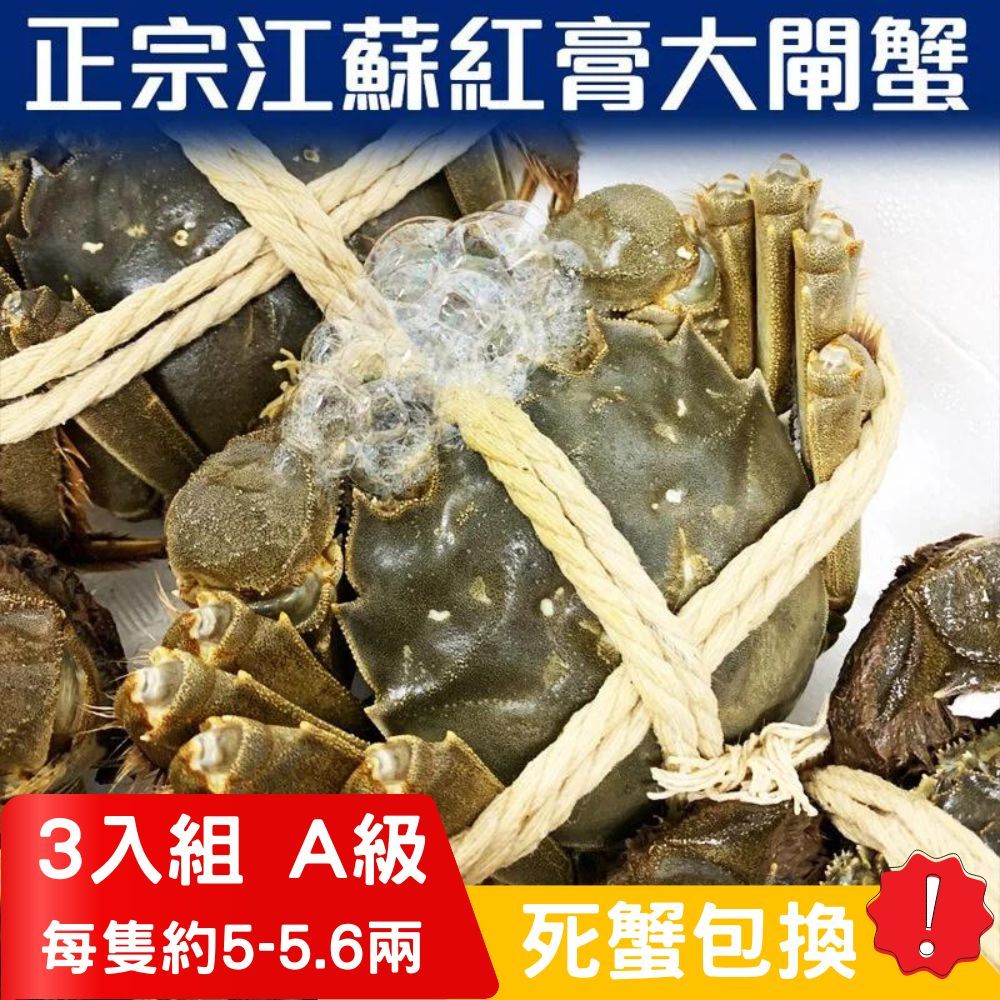 RealShop 真食材本舖 正宗活體江蘇紅膏大閘蟹 A級( 5~5.6兩)/3隻入