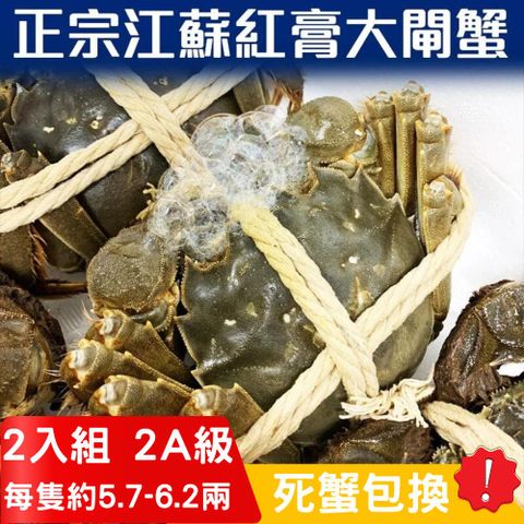 RealShop 真食材本舖 正宗活體江蘇紅膏大閘蟹 2A級(5.7~6.2兩)/2隻入