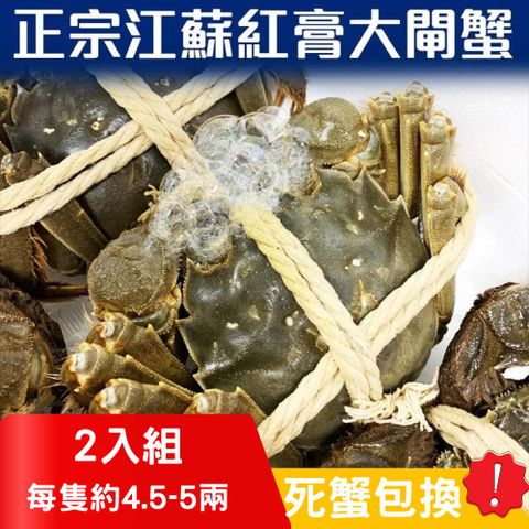 RealShop 真食材本舖 正宗活體江蘇紅膏大閘蟹 4.5~5兩/2隻入