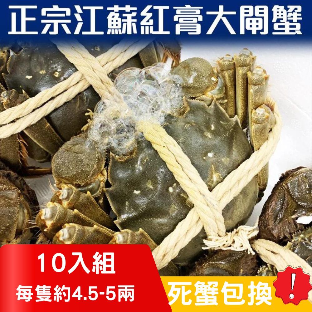 RealShop 真食材本舖 正宗活體江蘇紅膏大閘蟹 4.5~5兩/10隻入