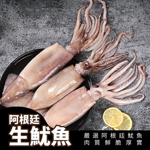 【元品水產】生魷魚