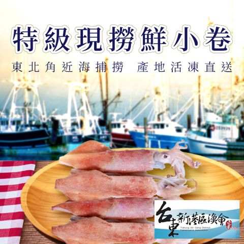 【新港漁會】特級現撈鮮小卷-250g-4入-盒 (2盒組)