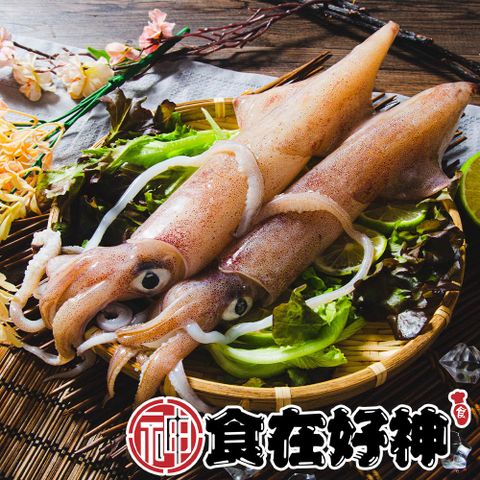 嚴選頂級野生船凍透抽 共4包(450g±10%/包，2隻/包)