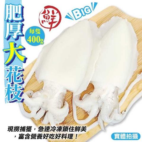 海肉管家 【滿777免運-】特級鮮Q甜肥厚大花枝(1隻_400g/隻)
