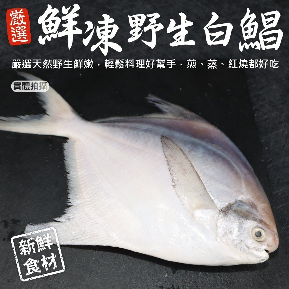 三頓飯 【滿777免運-】鮮嫩野生白鯧魚(1尾_220-280g/尾)