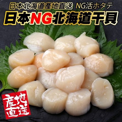 海肉管家 【滿777免運-】日本北海道NG干貝(1包_100g/包)