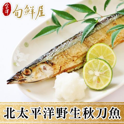 【金澤旬鮮屋】北太平洋野生秋刀魚20尾(100g/尾)