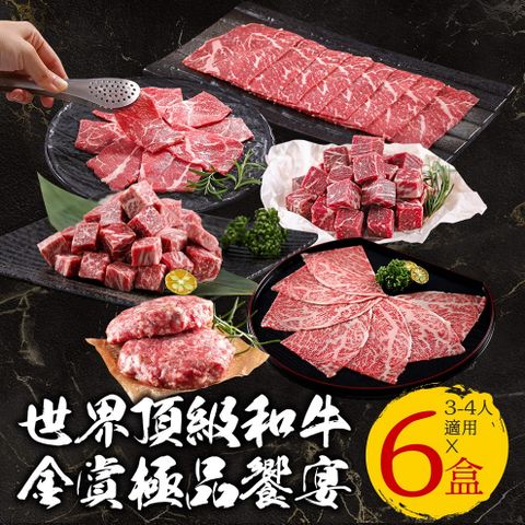 【火鍋食材首選】TOP世界金賞和牛極品饗宴(6盒/組燒烤/火鍋/3~4人份)