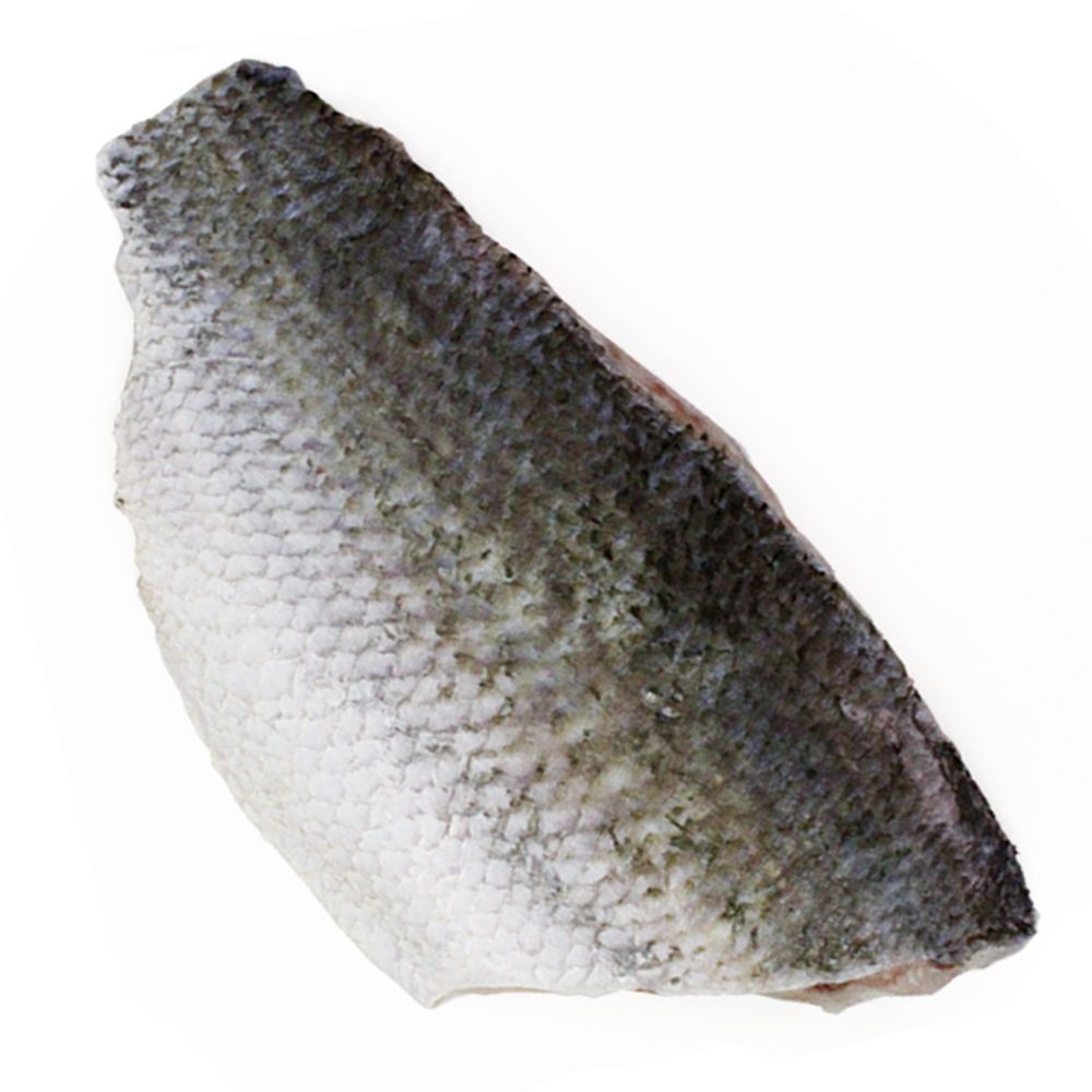 那魯灣 鱸魚富含DHAEPA及多種營養元素