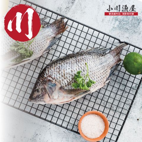 小川漁屋 精選台灣鯛魚8尾(250~300g/尾)