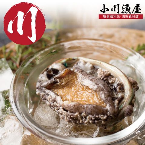 【小川漁屋】極品南非活凍帶殼鮑魚1包（500g±10%/包/約6~8粒）