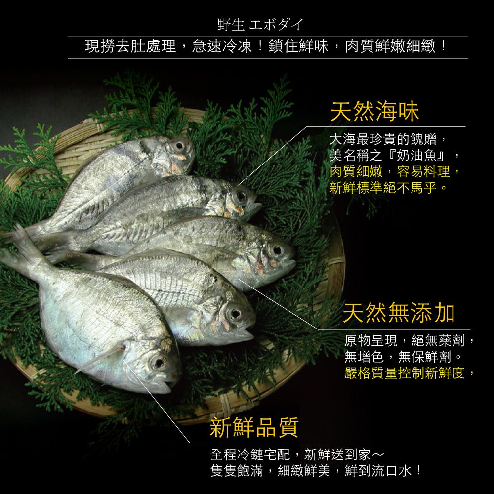 小川漁屋 極鮮野生肉魚3包600g10%/包/4-6尾