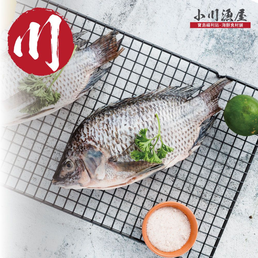 小川漁屋 精選台灣鯛魚16尾(250~300g/尾)