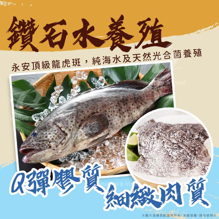 戀戀蚵仔寮 頂級鑽石龍虎斑清肉 (300g~400g/份)(冷凍)