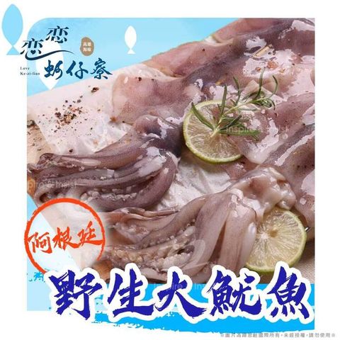 戀戀蚵仔寮 阿根廷野生大魷魚2入(400g/份)(冷凍)