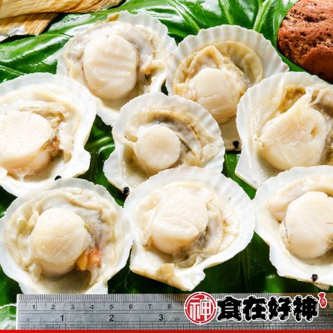 鮮美大扇貝300g 共5包
