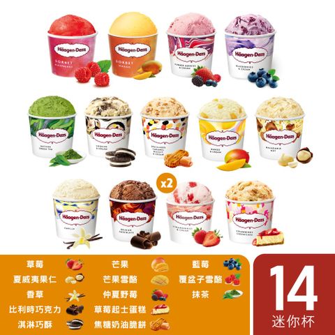 Haagen-Dazs 哈根達斯 繽紛嘉年華迷你杯14入組100ml(官方旗艦直送)