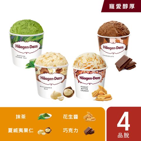 【哈根達斯-冷凍宅配】寵愛醇厚品脫4入組