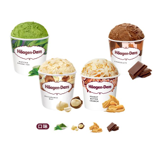 Haagen-Dazs 哈根達斯 寵愛醇厚品脫4入組(官方旗艦直送)