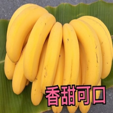 水果達人 旗山超Q香蕉禮盒5斤*2箱