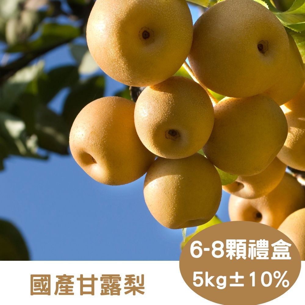 RealShop 真食材本舖 國產甘露梨禮盒 (約5kg/6-8顆裝)