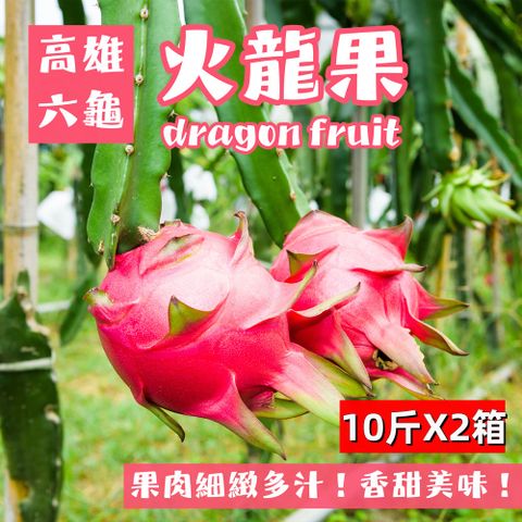 【e果園】高雄六龜紅肉大顆火龍果10斤/箱x2箱(約10~12顆/箱x2/產地直送)