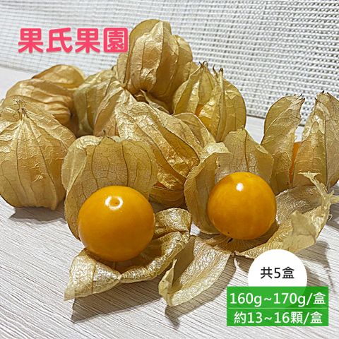【果氏果園】彰化日本品種鮮採黃金莓x5盒(約160~170g/盒_燈籠果_產地直送)