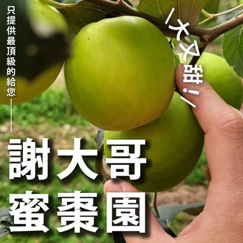 十翼饌 【十翼饌選果】謝大哥蜜棗園 台南歸仁頂級爆漿蜜棗3台斤x4箱入(黑貓低溫配送/鮮甜味美)