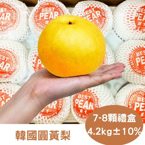 【真食材本舖 RealShop】韓國圓黃梨禮盒 約4.2公斤/7-8顆入