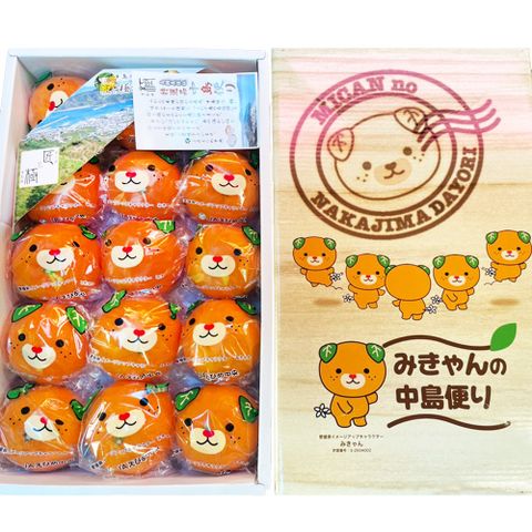 【RealShop 真食材本舖】日本愛媛縣吉祥物汪星人Mican蜜柑原裝禮盒 12顆裝/約1kg±10%