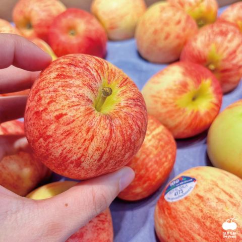 南半球的蘋果產季開始囉!!【舒果SoFresh】紐西蘭加拉Gala蘋果#150s (30顆/約3.4kg/箱)