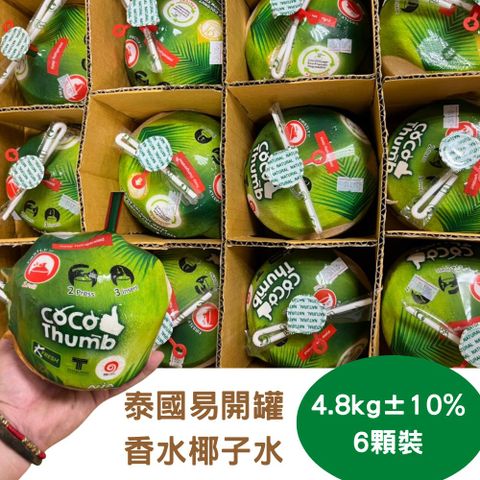 甜蜜盛夏 清涼解渴【RealShop 真食材本舖】泰國易開罐香水椰子 6顆裝(每顆800g±10%)