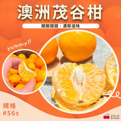 【舒果SoFresh】澳洲茂谷柑#56s 20顆x1箱 (20顆/約5.3kg/原裝箱)