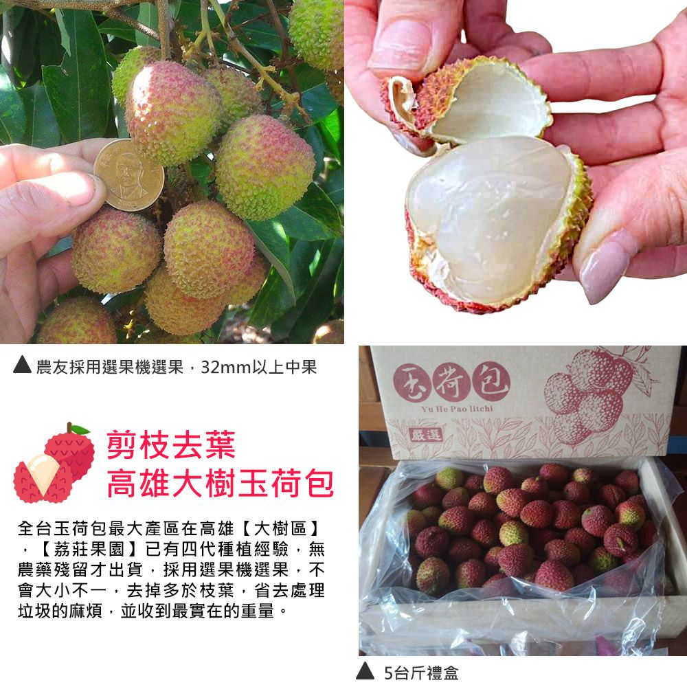 農友採用選果機選果,32mm以上中果Yu He Pao litchi剪枝去葉高雄大樹玉荷包全台玉荷包最大產區在高雄【大樹區】,【莊果園】已有四代種植經驗,無農藥殘留才出貨,採用選果機選果,不會大小不一,去掉多於枝葉,省去處理垃圾的麻煩,並收到最實在的重量。嚴選5台斤禮盒