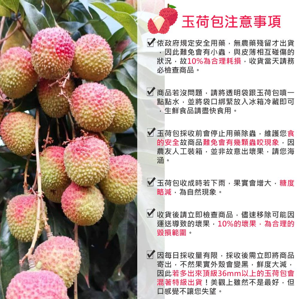 玉荷包注意事項依政府規定安全用藥,無農藥殘留才出貨因此難免會有小蟲,與皮薄相互碰傷的狀況,故10%為合理耗損,收貨當天請務必檢查商品。商品若沒問題,請將透明袋跟玉荷包噴一點點水,並將袋口綁緊放入冰箱冷藏即可生鮮食品請盡快食用。玉荷包採收前會停止用藥除蟲,維護您食的安全故商品難免會有幾顆蟲咬現象,因農友人工裝箱,並非故意出壞果,請您海涵玉荷包收成時若下雨,果實會增大,糖度略減,為自然現象。 收貨後請立即檢查商品,儘速移除可能因運送導致的壞果,10%的壞果,為合理的毀損範圍。因每日採收量有限,採收後需立即將商品寄出,不然果實外殼會變黑,鮮度大減,因此若多出來頂級36mm以上的玉荷包會混著特級出貨!美觀上雖然不是最好,但口感覺不讓您失望。
