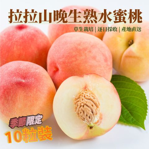 【季節限定】正宗拉拉山晚生熟水蜜桃 嘗鮮禮盒 1盒 (10粒/盒)