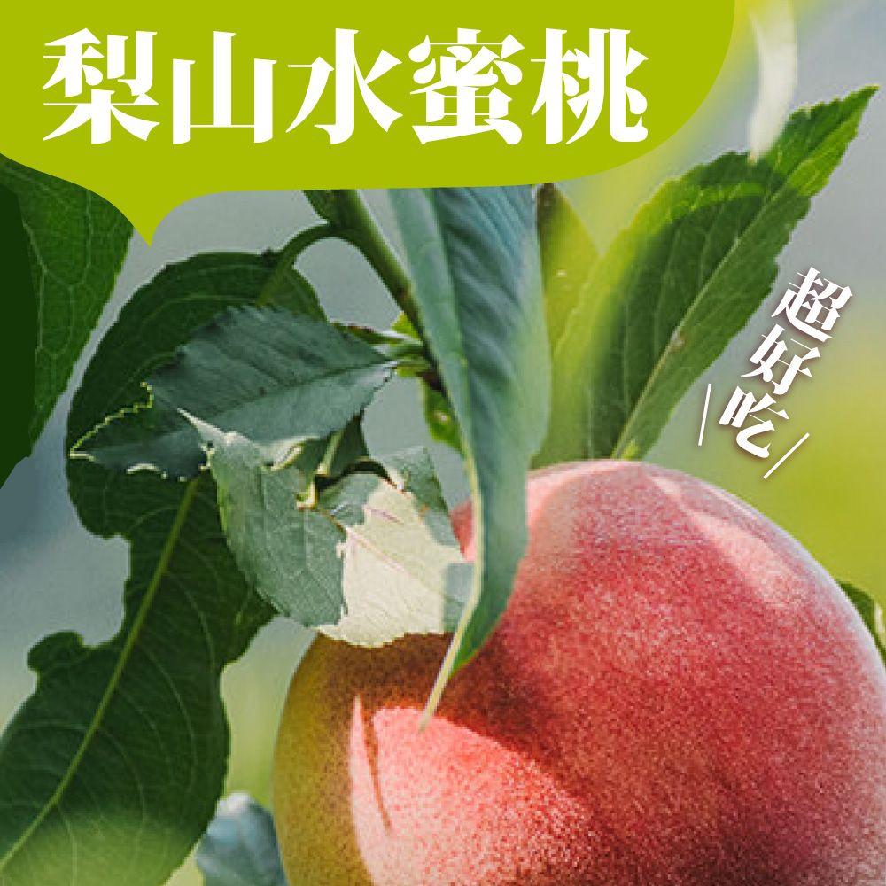 十翼饌 【選果】明賢果園 梨山上等水蜜桃 (中小果10顆/2.8臺斤)x1盒 高山種植/香甜可口-黑貓低溫配送